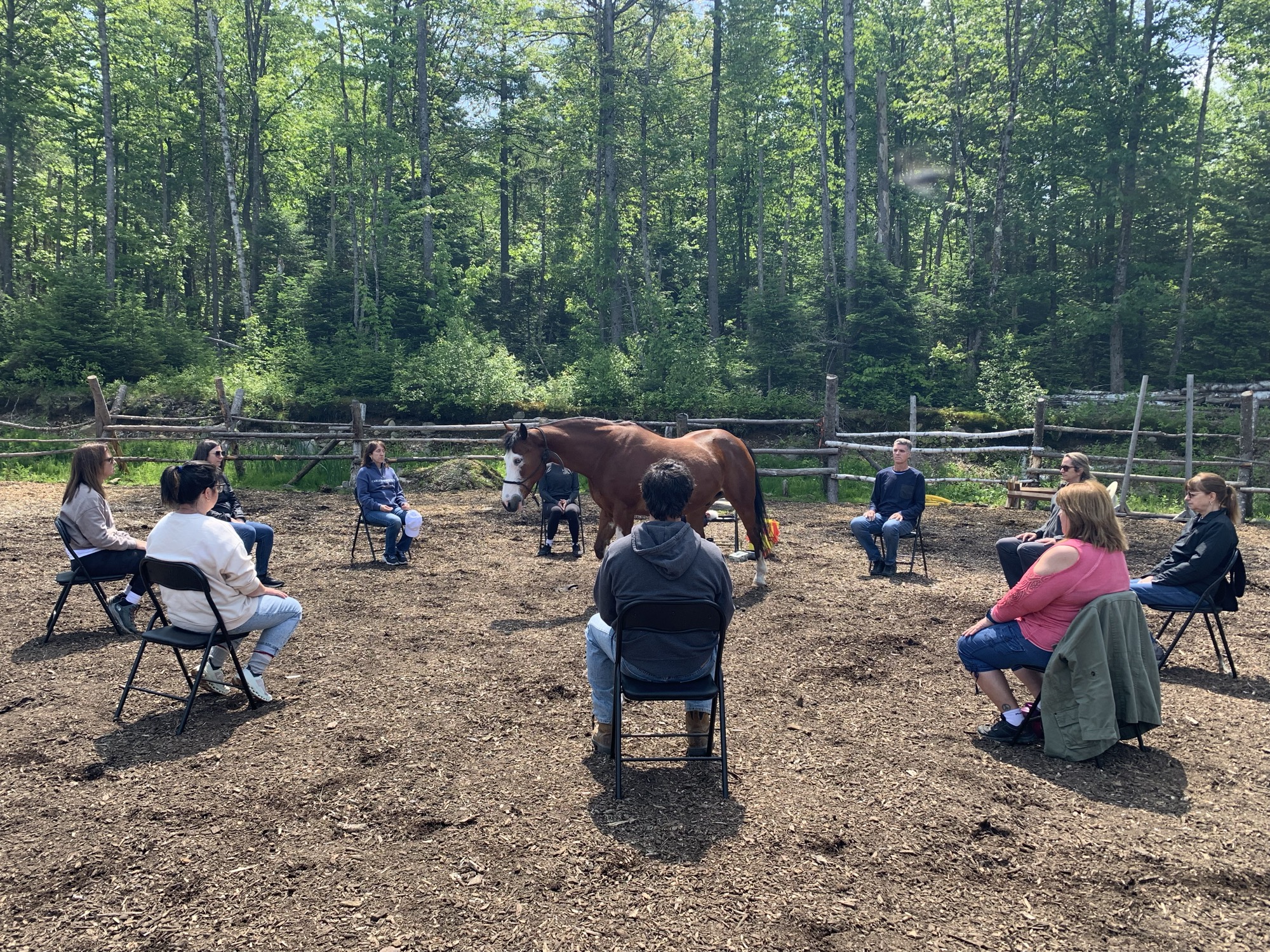 Méditation et Nature