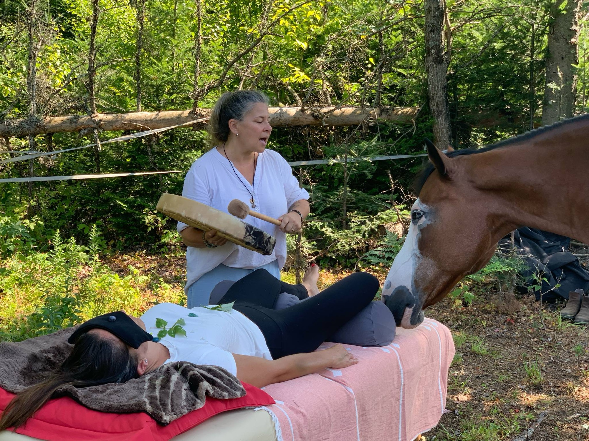 Soins Vibratoires en Nature